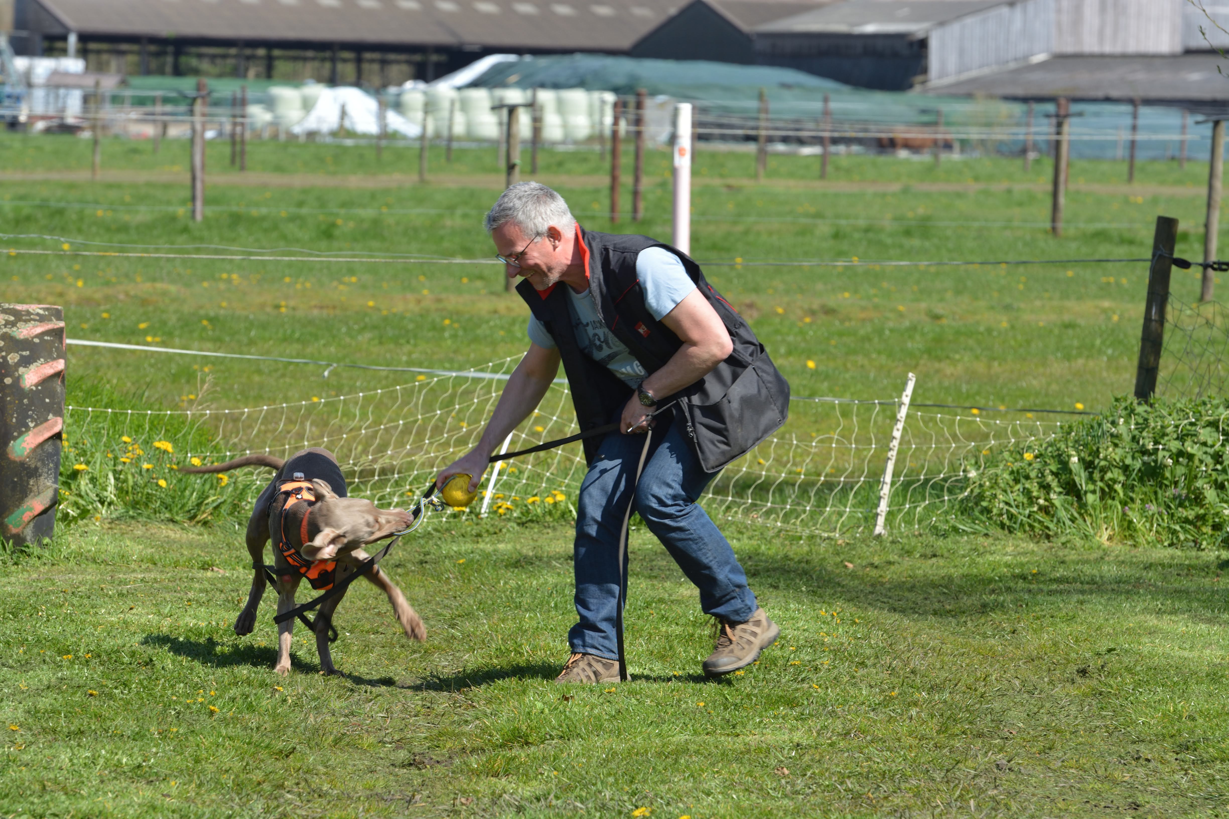 Trekspel — hond en geleider